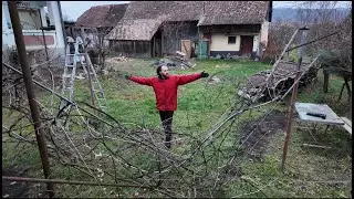 De ce am Scos toata Via din Fata Casei Sasesti?