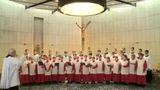 Gotteslobvideo (GL 228): Tochter Zion