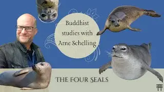 Buddhist Studies with Arne Schelling: The Four Seals