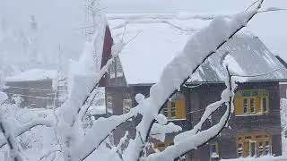 Snow in kashmir beauty of kashmir snowfall #kashmir#swizerland#shorts