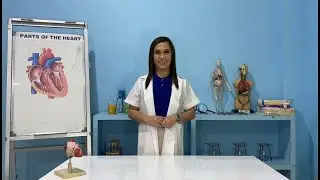 IDC-BED Virtual Class Discussion, Grade 9 Science, Lesson: Circulatory System with Teacher Yen