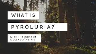 What is Pyroluria? Integrated Wellness Clinic Suzi Le Fanue