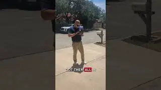 Day In The Life