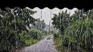 Extreme Heavy Rain 🌧️ | Soothing Night Rain to Release Stress and Prepare You for Rest