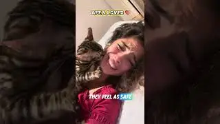 Why Cats Make Biscuits? 🍪 (The Cute Reason)