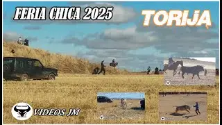 Encierro Campo Torija..Feria Chica 2025