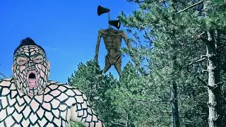 Происхождение Сиреноголового