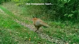 Parma, due 