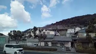 Roadside beauty at Japan🥰🥰