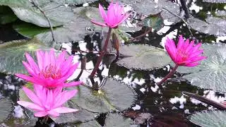 If we take care of nature, it will please us for a long time.