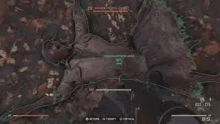 Fallout 76 - Are 2E 2 Shot Explosive Weapons Good for Bloodied Class  ?