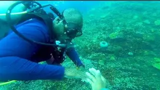 doing my scuba open water course