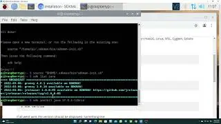 Install Java 17 on Raspberry PI