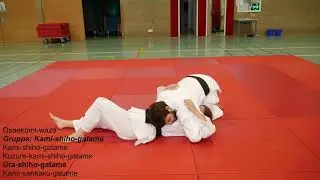 Judo || Gruppe: Kami-shiho-gatame #ZZD2 No. 10