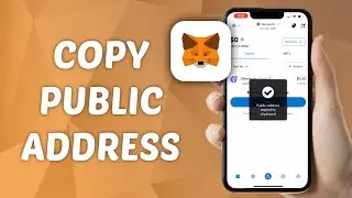 How to Copy Public Address on MetaMask