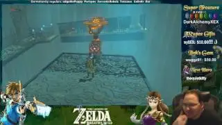 Zelda BOTW - Forced Motion Control Puzzle Rage!