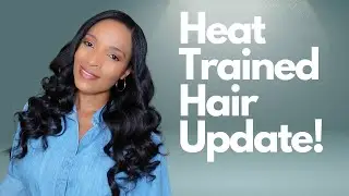 Heat Trained Natural Hair Update Haircut, Protective Styling + Length Check