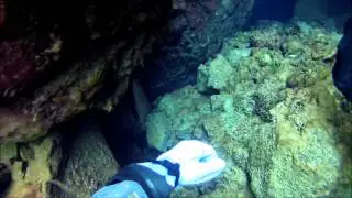 Freshwater Diving Iceland