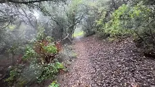 Super Cloud Rainy! #canyoneering #hiking #waterfall #rain #outdoors