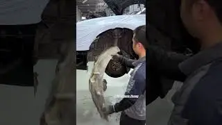 1 Audi A8 Engine Overhaul & Car Refurbishment Process