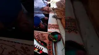 Фестини