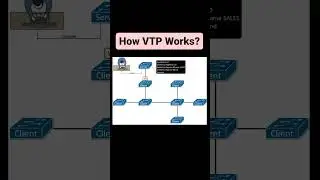 VLAN Trunk Protocol (VTP) #whatisvtpinnetworking #lan #vlan #vtp #howvtpworks #vtpnetworking #cisco