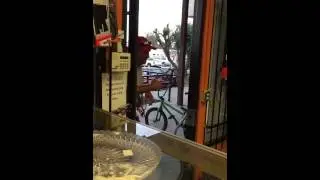 Dons Bikes Rialto Entertainment Presents