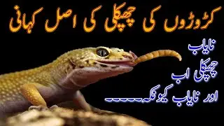 Leopard Gecko Real Story | Price | Hindi /Urdu
