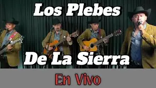 Los Plebes De La Sierra En vivo