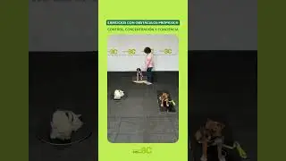 ✳️ OBST&Aacute;CULOS PROPIO3C&reg;. TABLAS DE EQUILIBRIO PROPIO3C&reg; SEE SAW, WOBBLE BOARD y TABLA FREEMAN PROPIO