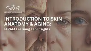 Introduction to Skin Anatomy & Aging | IAPAM Learning Lab Insights