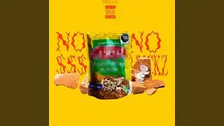 NO MONEY NO BRICKS