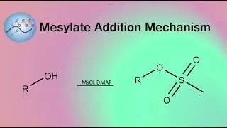 Adding Mesylate Group Mechanism | Organic Chemistry