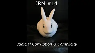 JRM #14 Judicial Corruption & Complicity