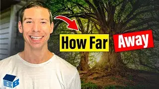 How Far Should Trees Be From Foundations?