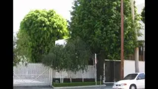 9026 Melrose Avenue - Edward H. Fickett West Hollywood Studio, 1938.m4v