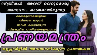 പണമാണ് എല്ലാമെന്ന് വിശ്വസിച്ചവൻ ഒരുവൾക്ക് മുൻപിൽ തോറ്റു  |ഒറ്റപ്പാർട്ടിൽ അവസാനിക്കുന്ന പ്രണയകഥ