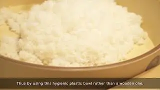 WSSI Only HASEGAWA