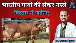 भारतीय गायों की संकर नस्ले / indian cross breed in cattle / Parvat Nigwal /ayushman online classes