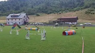Zaelie and Tic at our local competition in Mrkopalj 15./16.8. - best off