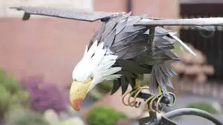 Home 2 Garden Eagle