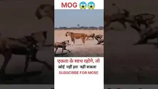 #motivation​✍️_#motivational_​#iasipsentry_​#upsc_​#ibsnaa_​#shayari_​#heavenlbsnaa_​#motivationlquo