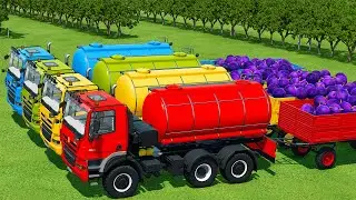 LOAD AND TRANSPORT PLUMS WITH TATRA TRUCKS AND FENDT LOADERS - Farming Simulator 22