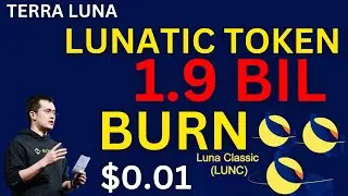THE THIRED TERRA LUNA CLASSIC BURNER | LUNATIC TOKEN BURN OVER 1.9 BILLION COINS ALREADY | TERRA