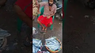💥🐠 Offer 900 Thol Parai Fish | Kasimedu fish market #fish #fishes #fishmarket #shorts #short #viral