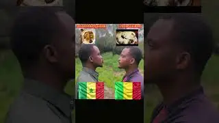 Plat malien vs plat s&eacute;n&eacute;galais qui a la meilleure cuisine
