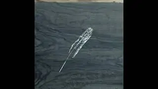 the south snow fish &ndash; quill
