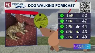 Warm and damp Friday morning before major afternoon cooldown | WTOL 11