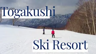 Togakushi Ski Resort, Tsugaike Ropeway and a day on our own private resort.