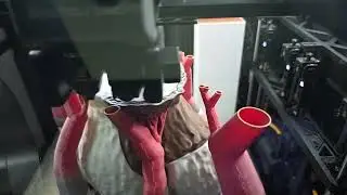 Highlight 29:06:33 - 29:11:33 from ⭕ 3D prints showcase Gremlins Gizmo mogwai life size and printing